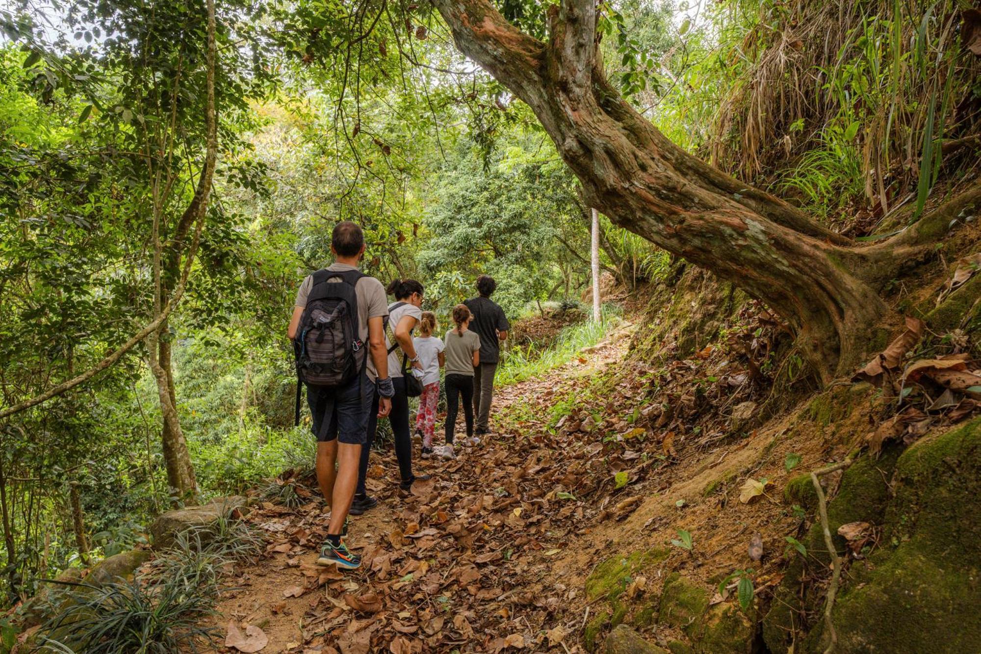 Simpson'S Forest - Luxury Boutique Resort & Spa - Kandy Ngoại thất bức ảnh